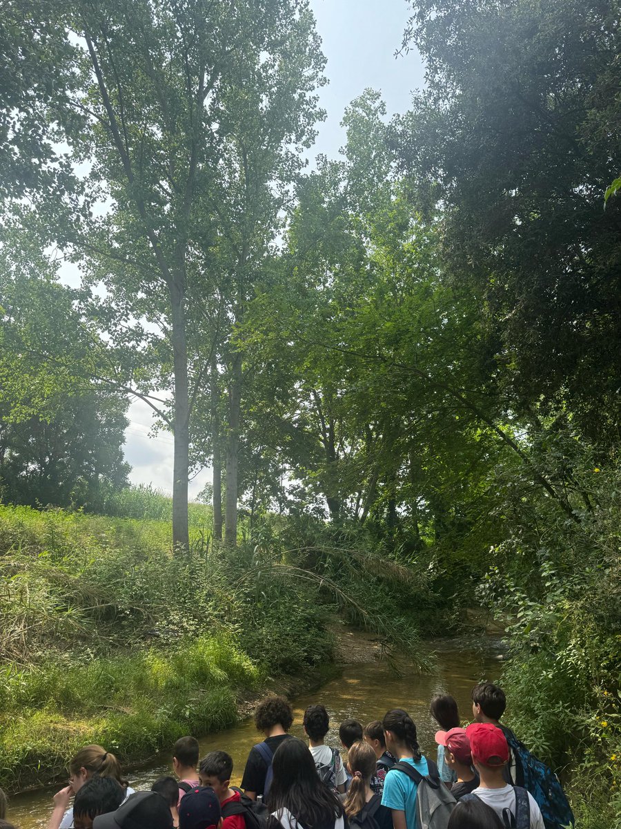 🎨🌿 Avui l’alumnat de 5è ha sortit a fer un dibuix al natural de l’església de Sant Julià ⛪. Després hem aprofitat per fer una volta per descobrir el nostre entorn més proper 🌲👣.

✨ Quina sort tenir aquesta natura tan a prop, a només dues passes de l’escola! 🍃💚