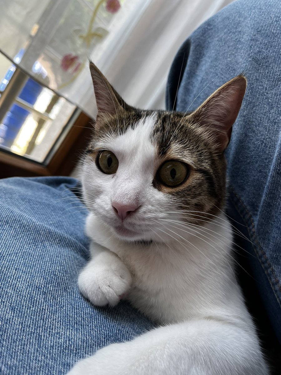 Hayırlı bayramlar 🐄❤️‍🔥