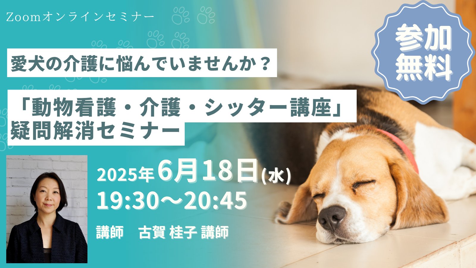 お買い得商店街 オンラインショップ】 小動物介護士 ヒューマンアカデミー 語学・辞書・学習参考書