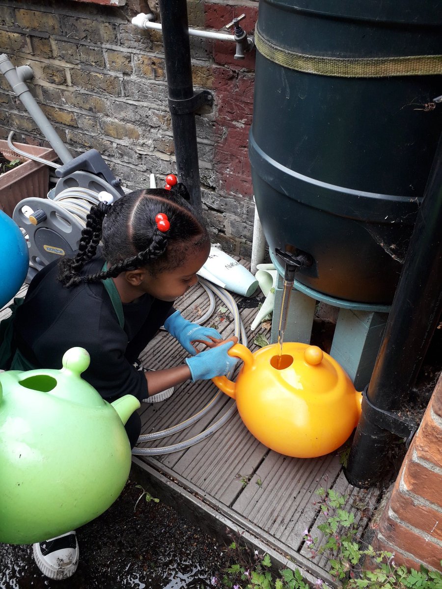 Edible Rotherhithe (@ediblese16) on Twitter photo With the Mini Gardeners <a href="/SurreySqSchool/">Surrey Square School</a> planting out in the nursery garden flowers grown from seed 🌻🌺
Always lots of fun & laughter
#enjoyment
#perservance
#outdoorlearning
#enrichment With the Mini Gardeners <a href="/SurreySqSchool/">Surrey Square School</a> planting out in the nursery garden flowers grown from seed 🌻🌺
Always lots of fun & laughter
#enjoyment
#perservance
#outdoorlearning
#enrichment
