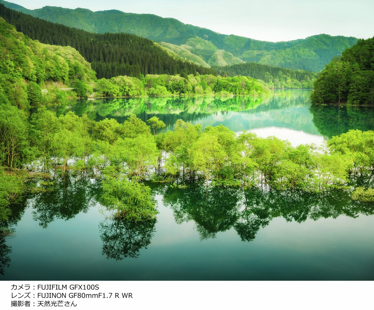 自然の風景写真 湖と山 📷XFレンズギャラリー 新緑に包まれた森と湖が、すがすがしい印象を