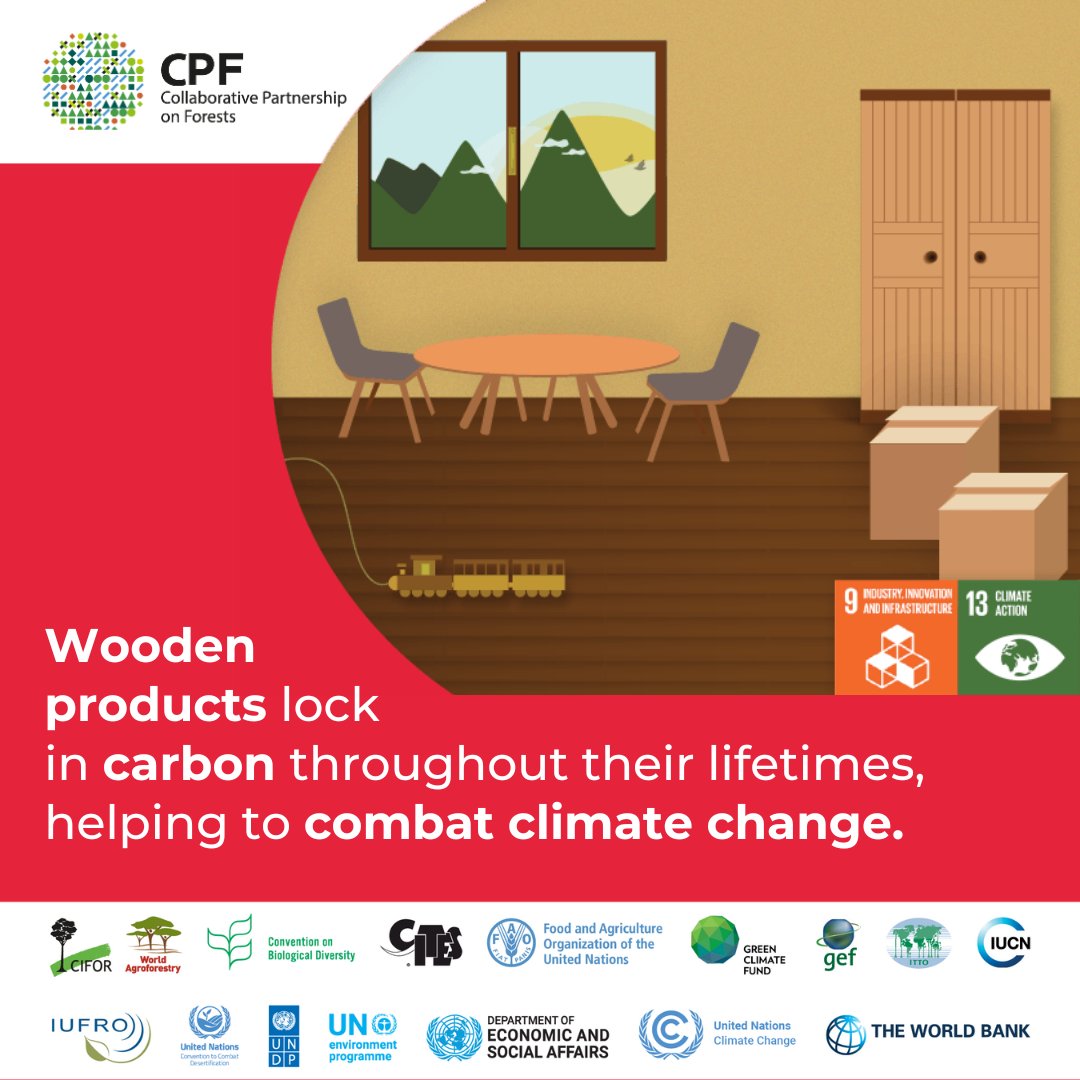 FAO Forestry (@faoforestry) on Twitter photo 🌳🪵Wooden products lock in carbon throughout their lifetimes, helping to combat climate change.🪵🌳
#GrowtheSolution #CPForests 🌳🪵Wooden products lock in carbon throughout their lifetimes, helping to combat climate change.🪵🌳
#GrowtheSolution #CPForests