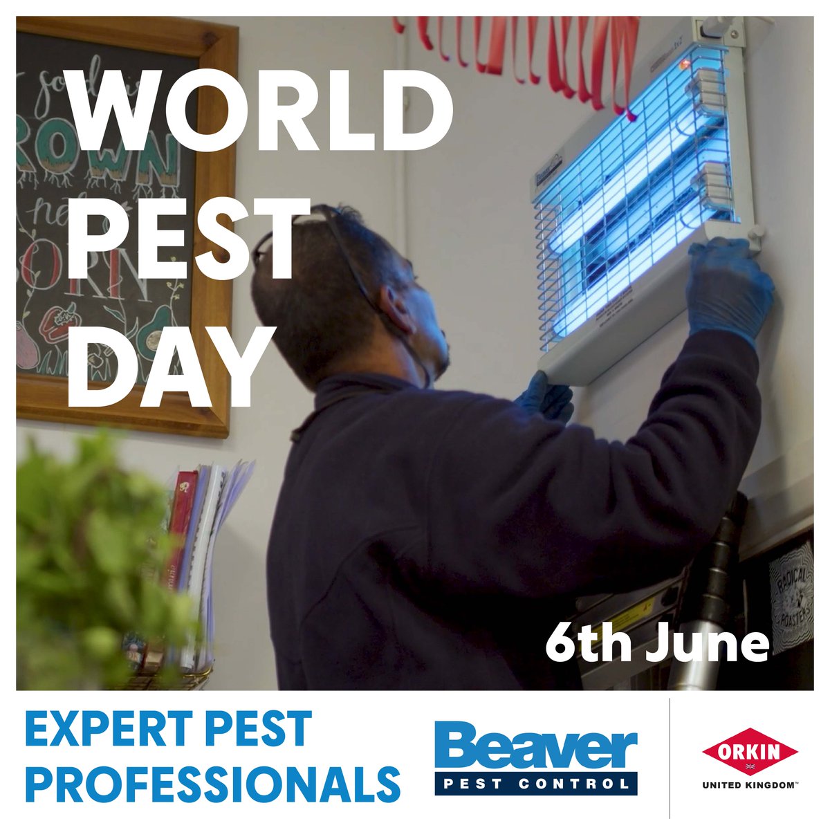 Beaver Pest Control tweet media