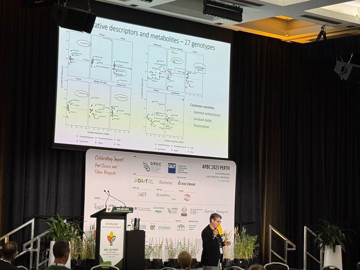 APBC2025's tweet image. 🌿 Final plenary at #APBC2025 wrapped with global impact!
🤤 Prof Rebecca Ford: Breeding better papayas - flavour, form & genomics meet consumer delight
🇩🇪 Prof Rod Snowdon: From trait discovery to phenomics, pushing plant breeding tech to the next level
What a finish!
#APBC2025