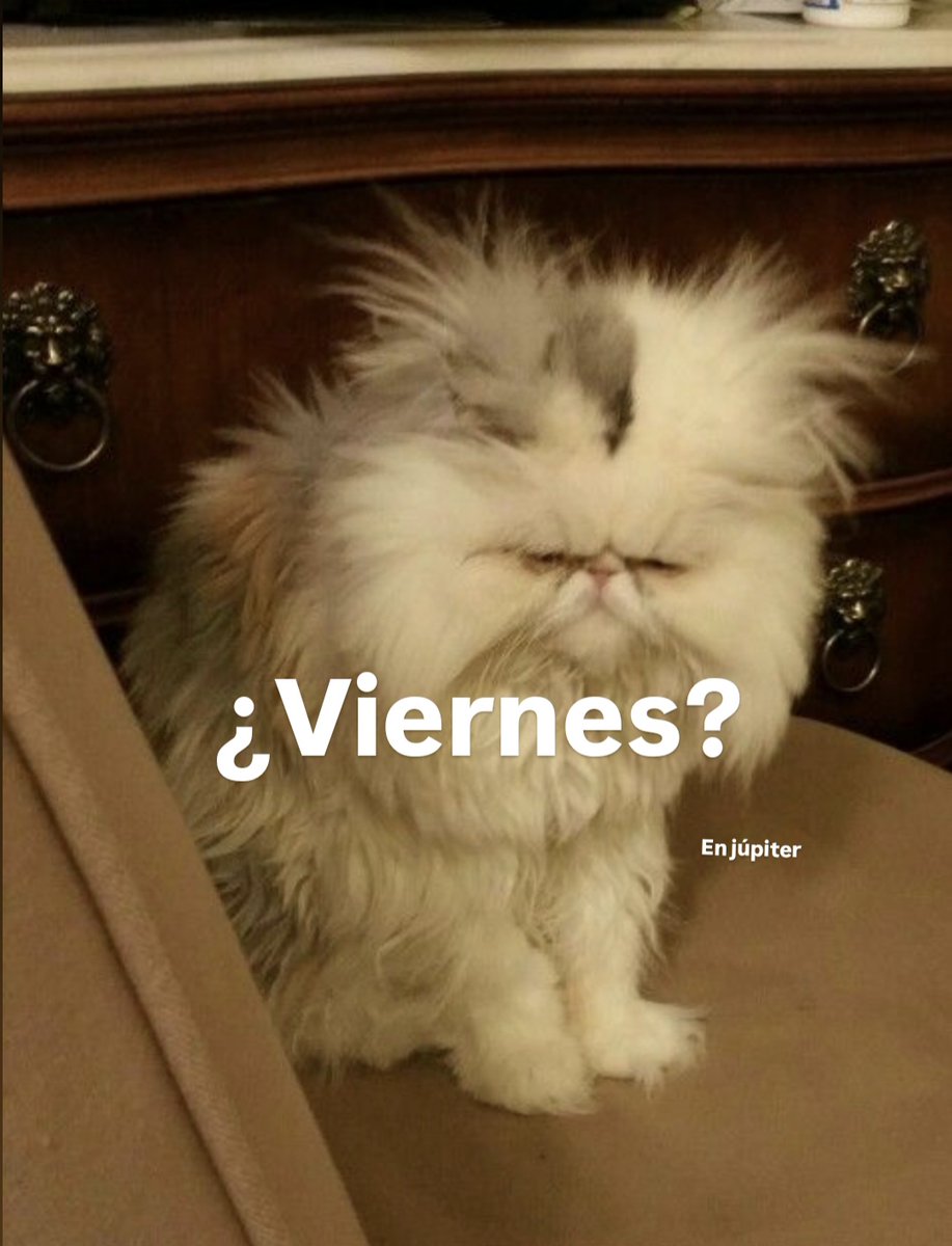 En Júpiter (@en_jupiter_) on Twitter photo 