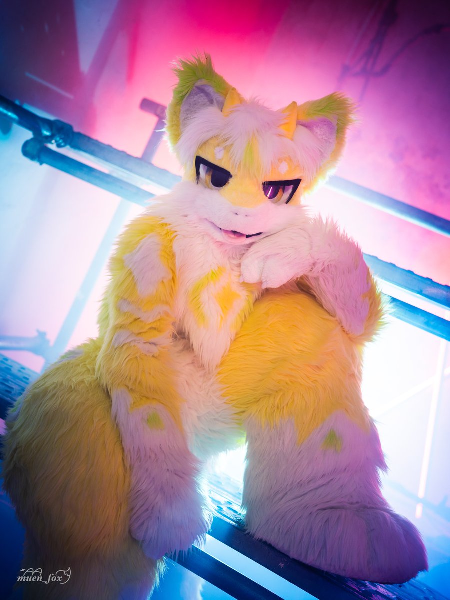 #FursuitFriday #fursuit
멋진 아스티~

📸 <a href="/muen_fox/">무엔</a>