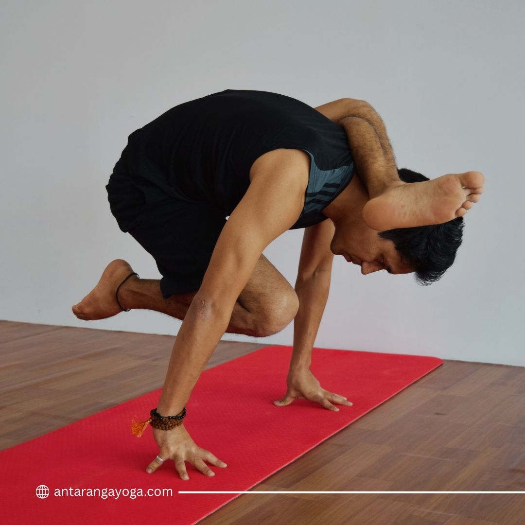 Antarangayoga's tweet photo. FLEXIBILITY: Strength in Motion 🌀

Yoga teaches us that true strength lies in the ability to adapt, shift, and bend without breaking.
At Antaranga Yoga School, we don’t just train the body—we nurture resilience, balance, and mindful awareness.
https://t.co/Rg583fYlwj https://t.co/zo2Se15CWo