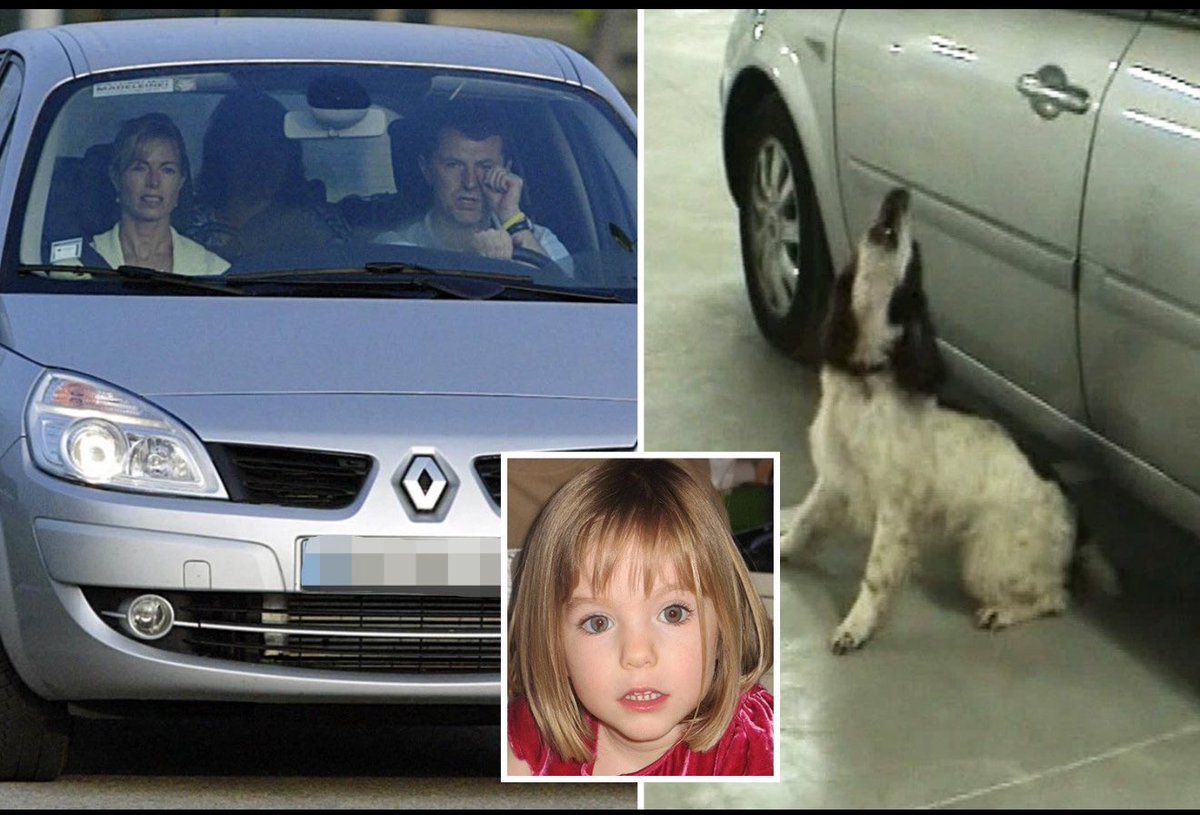 THE DISAPPEARANCE OF MADELEINE #MCCANN: 
The Hire Car‼️  

🔴 Michael Terence Wright: “I noted some disagreeable smells (in the car)  on a number of occasions which I judged to have come from the twins' nappies. Discarded nappies were collected in rubbish bags and held until