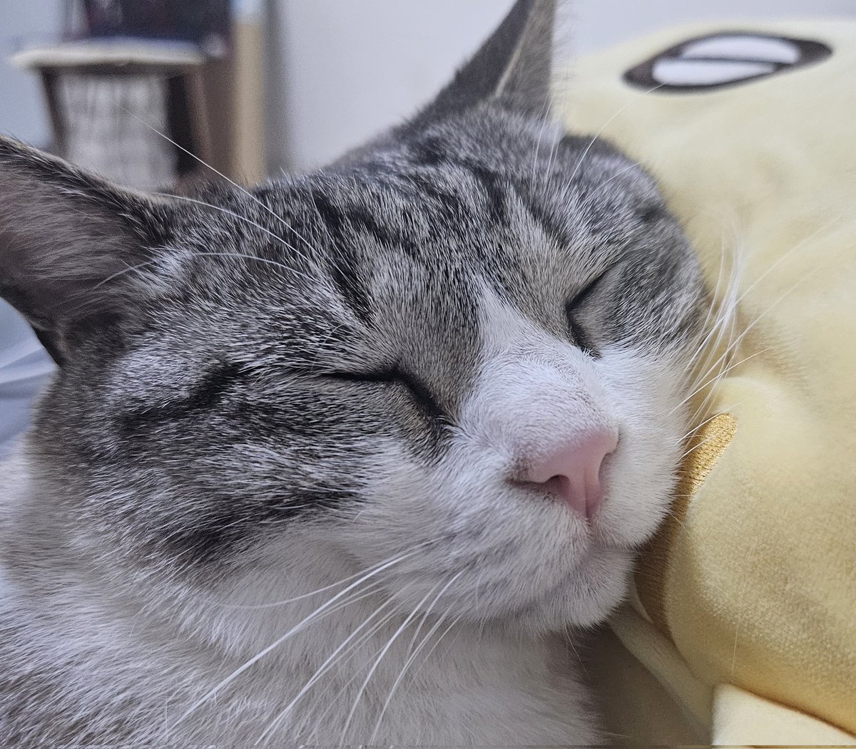 진주                                         즌즈