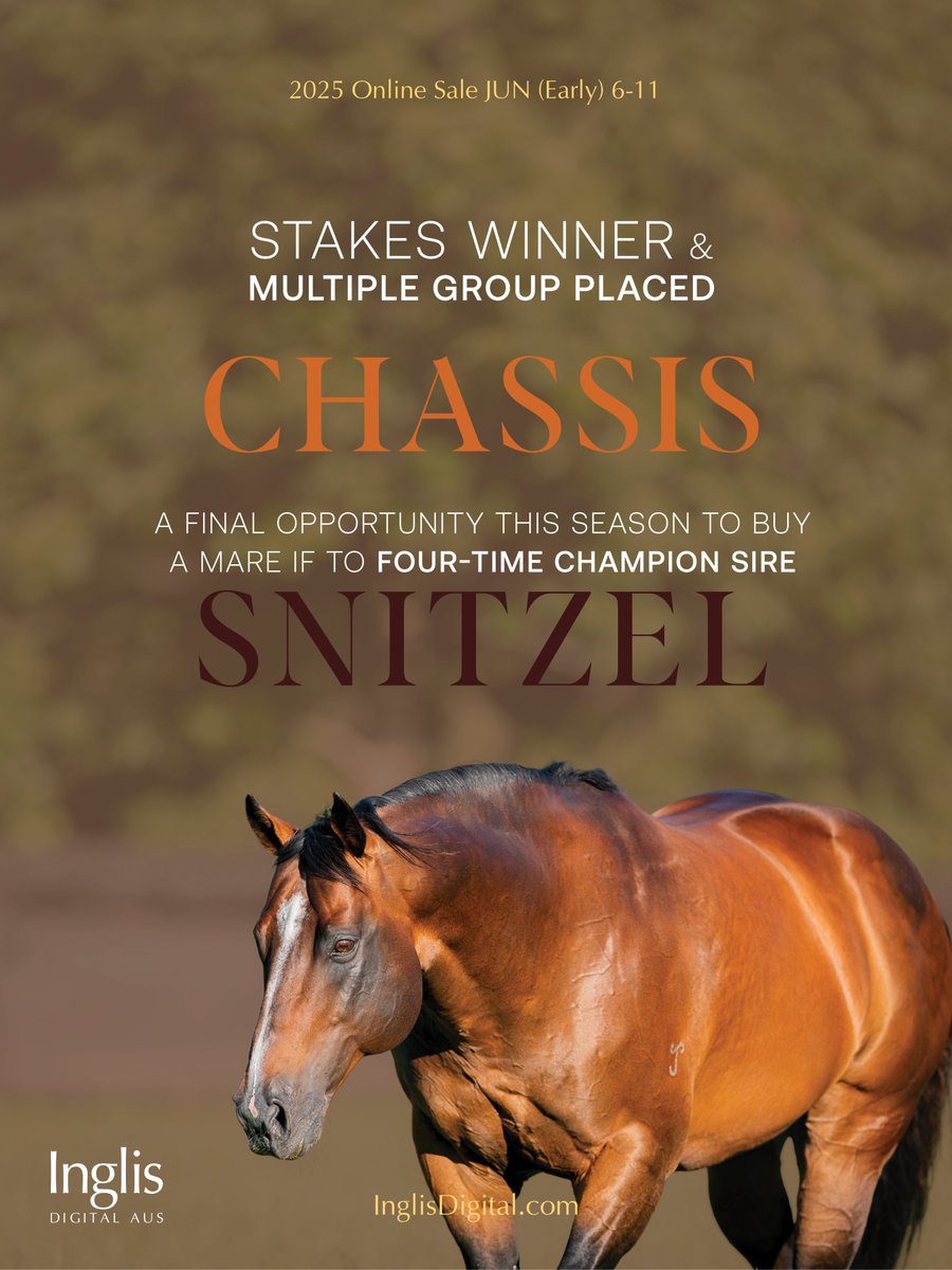 Stakes winner CHASSIS is being offered in foal to superstar sire Snitzel in the #InglisDigital June (Early) Online Sale. Don’t miss a final opportunity this season to buy a mare in foal to the four-time Champion sire. View the listing here: bit.ly/4krOcn4
