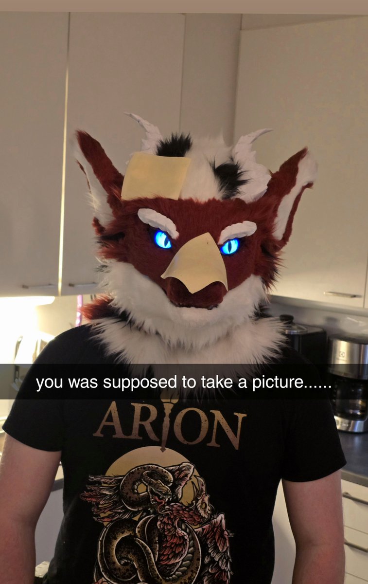 rhad0v's tweet image. say cheese
#FursuitFriday