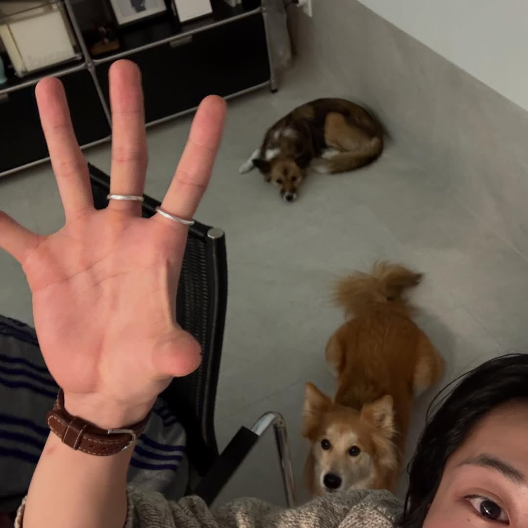 jongnow's tweet image. Late nights, soft paws, and a quiet kind of freedom. You don’t always need to speak to be understood — just raise your hand and let the silence answer back.