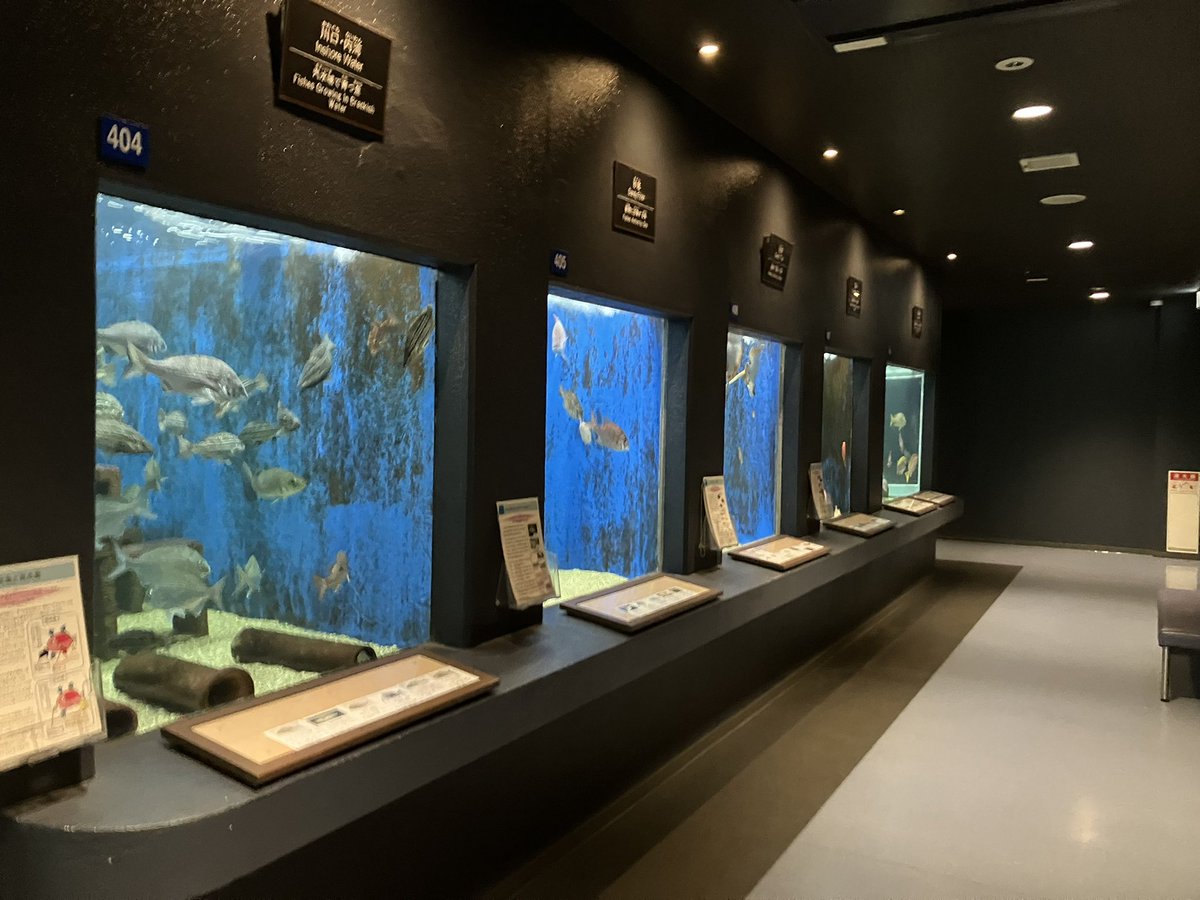 白浜水族館に🚙
マニアの極みみたいな水槽がたくさんあるぞ🐟