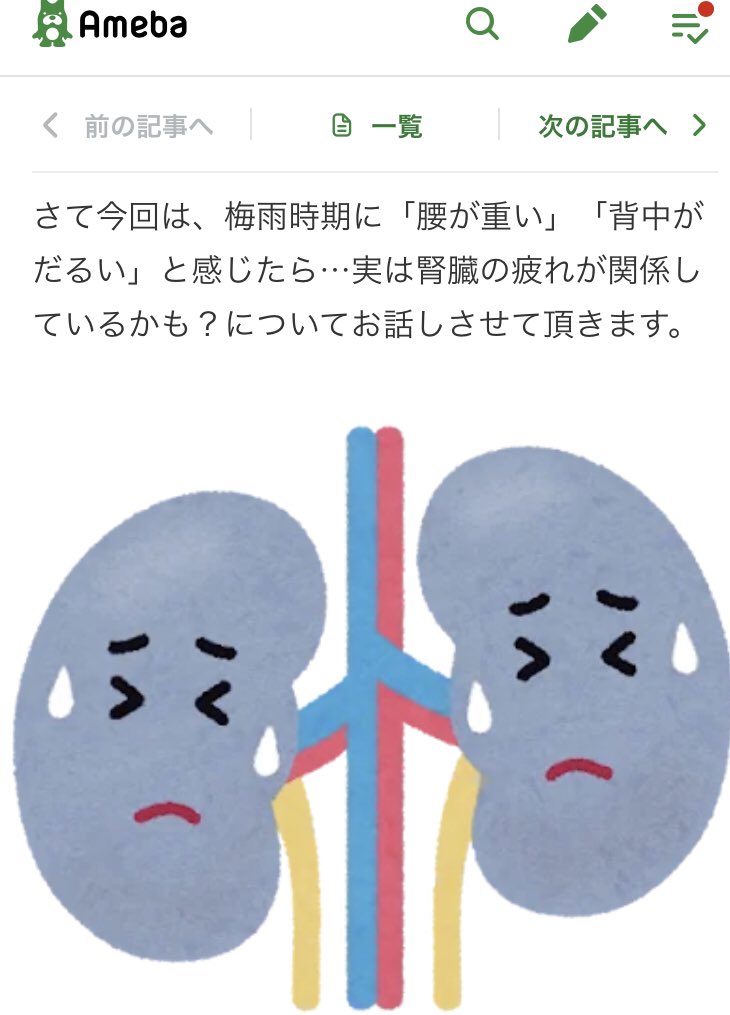 こんにちは😃
#みんなの森整骨院　です。

最近、胸腰部の張りがある方がチラホラ見えるから👀

腎疲労って結構関係あるだろうなぁと思ってブログを✍️

梅雨バテ対策にも大切だと思うので、読んで見てくださいね(^^)／~~~

ameblo.jp/egym2019/entry…

#浜松整体
#浜松自律神経ケア