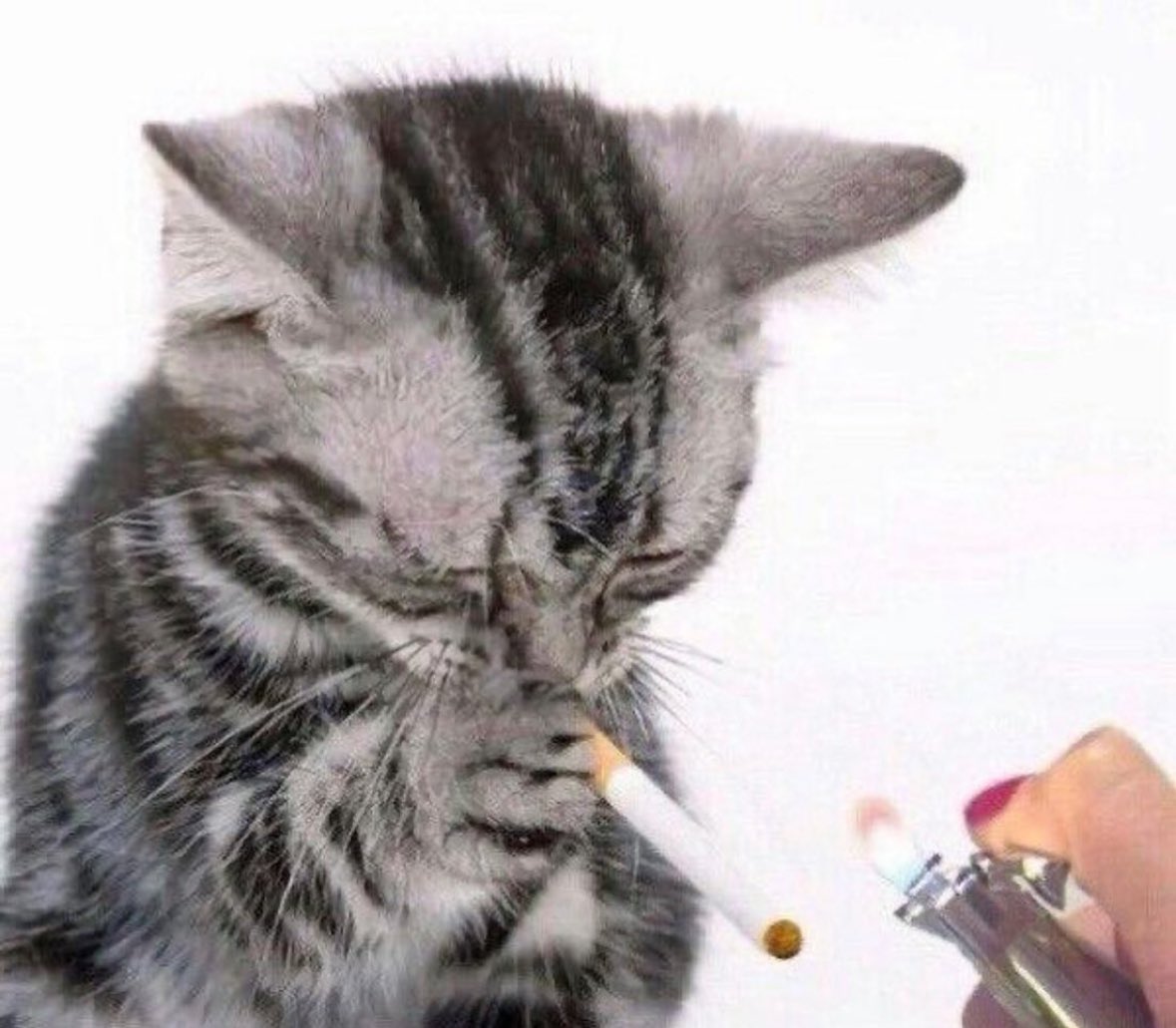 so this is happening