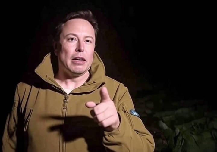 勃勃生机万物经发的景界犹在眼前