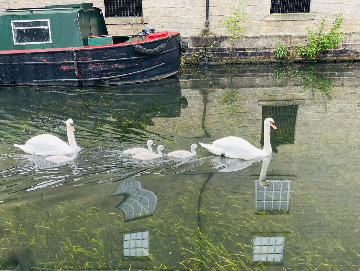 musingsofarunner tweet media