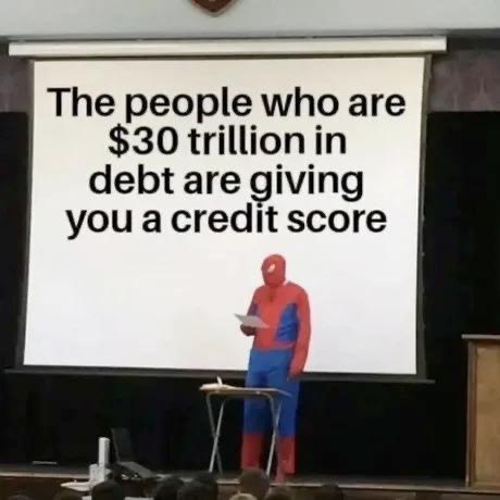 Bee Lady (@jackiemarsden6) on Twitter photo 