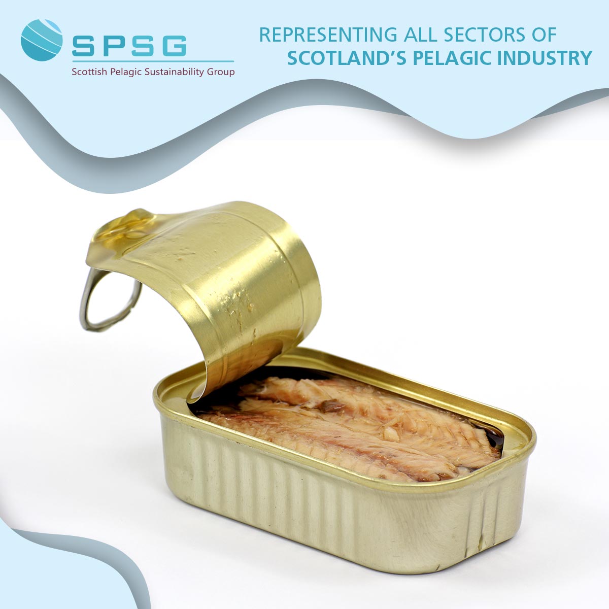 Canned mackerel is delicious and convenient and comes packed in brine or oil, as well as a wide range of flavoured sauces, including curry and hot chilli

spsg.co.uk

#mackerel #HealthyEating #HeartHealthy #Omega3Rich #EatMoreFish #My2aWeek