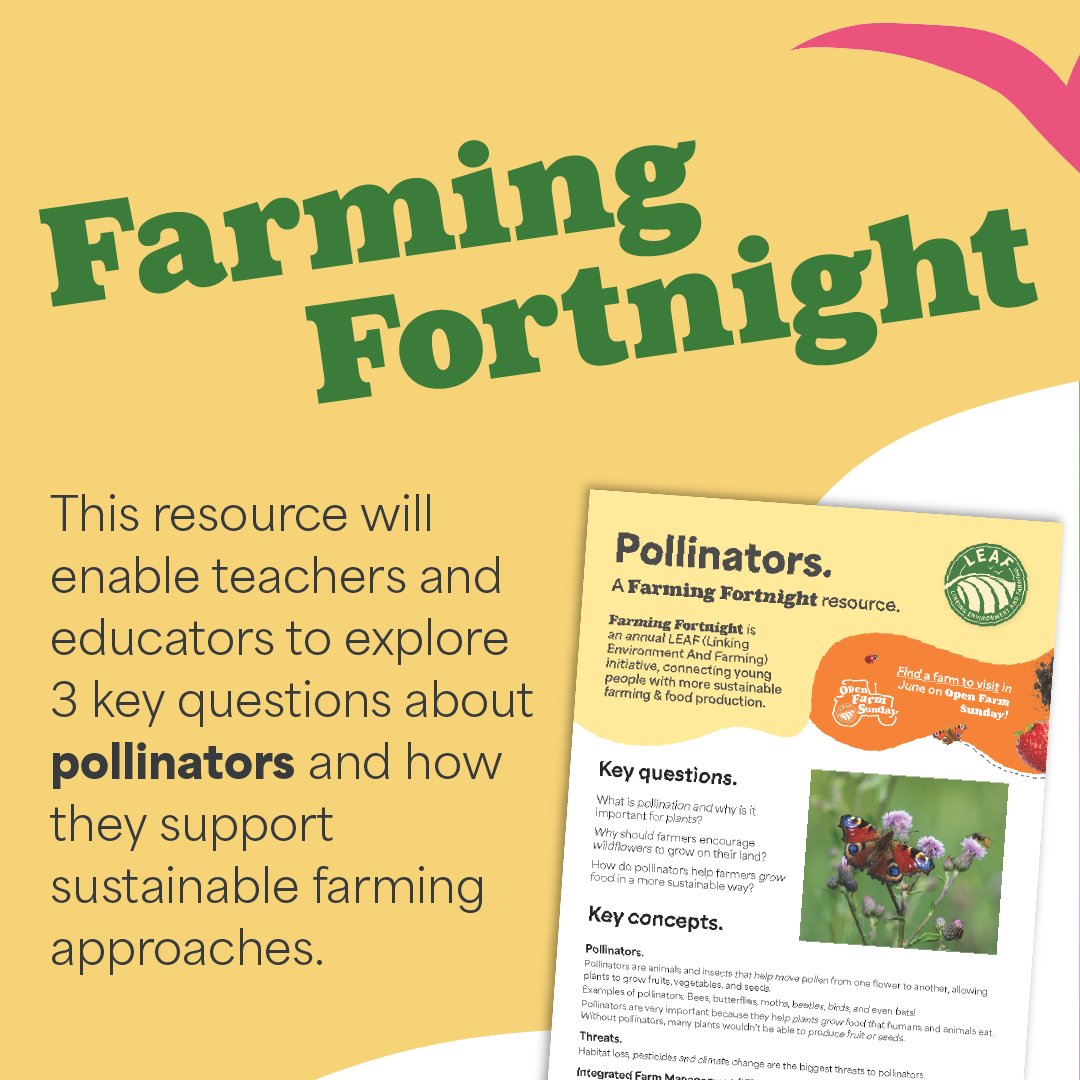 How do pollinators help farmers grow food in a more sustainable way? 🐝🦋

We’re shining a spotlight on our vital #pollinators today &amp; what we can do to protect them to ensure the long-term sustainability of our ecosystems! 
countrysideclassroom.org.uk/resources/1853
#FarmingFortnight