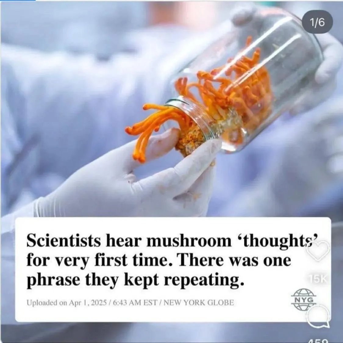 🇺🇦 ᴄᴀᴛᴀʜᴀᴛᴀ ⛧ 🌙 tweet media