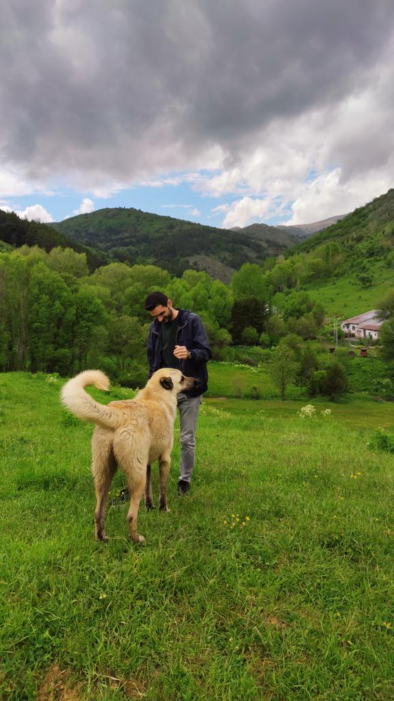Agtasmurat24's tweet photo. Bayrama geldik... 🌼 https://t.co/5wvN1aRnWc