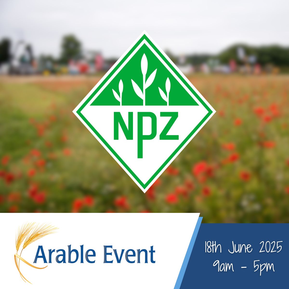#SponsorSpotlight
Today we're recognising <a href="/NPZ_UK/">NPZ UK</a> as a main sponsor of the Arable Event 2025! 🌱

Their innovative approach combines traditional methods with cutting-edge breeding technologies to deliver high-performing oilseed rape, field bean and pea varieties for UK farmers.