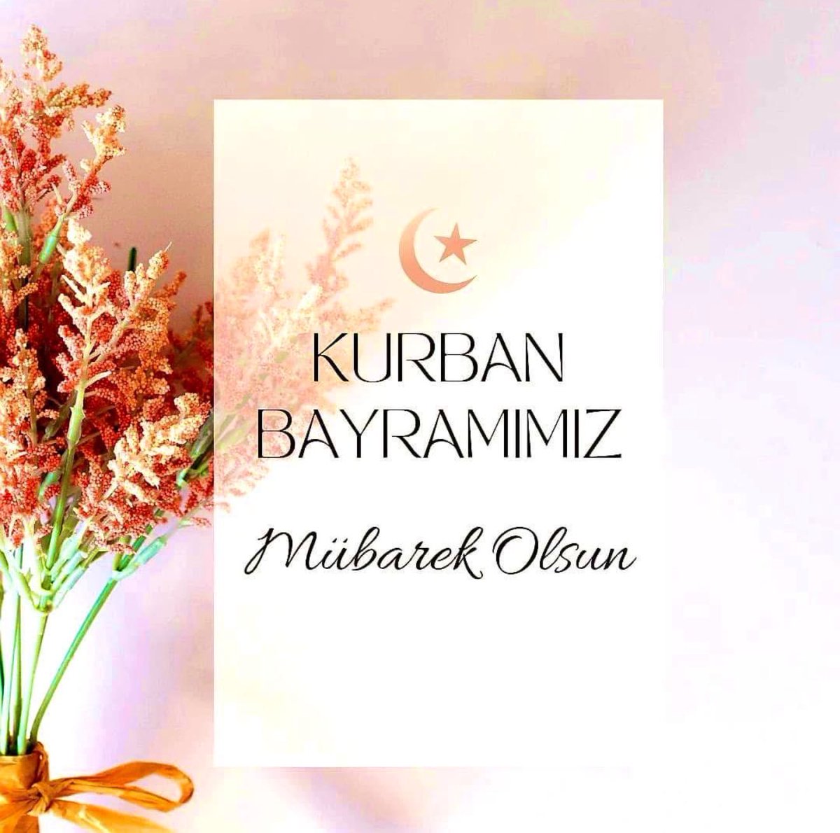 Hayırlı Bayramlar🤍