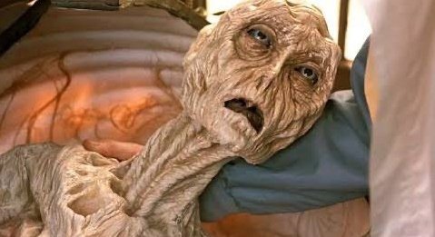 ¡Es viernes y el cuerpo lo sabe!
Mi cuerpo después de toda la semana: