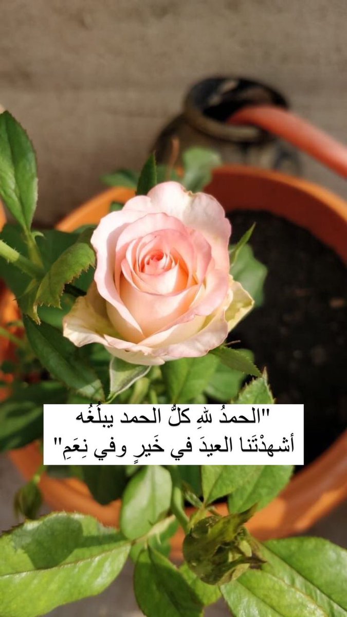 "يا عيد أيّامي وبهجة خاطِري
أمي .. عساكِ بكلِّ عيدٍ عيدي

أنا إن رأيتُكِ تبسمين تواترت
أفراحُ قلبي واعتنقتُ ورودي"🫂💜🩵