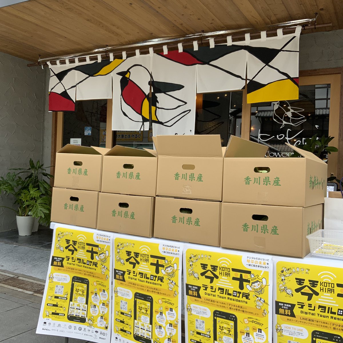 早朝から、デジタル町民の皆さまと収穫してきた1000個以上のキャベツたち🥬

子ども食堂やケア施設さま、町内の飲食店さまなどにお届けしたり、琴平町やまんのう町の各所で配布させていただきました❗️

農家の皆さまのお仕事や、地域の連携について考える1日となりました。

…そして眠い😂