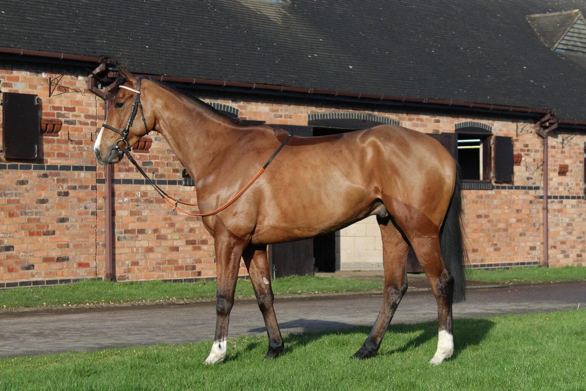 ianwilliamsraci's tweet photo. Four today 

Haliphon under @ryankavanagh01 for @NeChanceRacing goes @DoncasterRaces where Singing In Paris runs under @Luke_Morris88

Tardaff for Lady Blyth debuts @DoncasterRaces under Kieran Shoemark 

Tonal for @sue_howell14 goes @BathRacecourse 

👇
https://t.co/e4dFEQurou https://t.co/GZwwCLyuq9