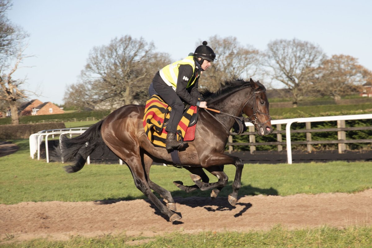 ianwilliamsraci's tweet photo. Four today 

Haliphon under @ryankavanagh01 for @NeChanceRacing goes @DoncasterRaces where Singing In Paris runs under @Luke_Morris88

Tardaff for Lady Blyth debuts @DoncasterRaces under Kieran Shoemark 

Tonal for @sue_howell14 goes @BathRacecourse 

👇
https://t.co/e4dFEQurou https://t.co/GZwwCLyuq9