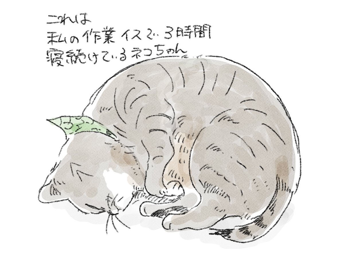 🐈 