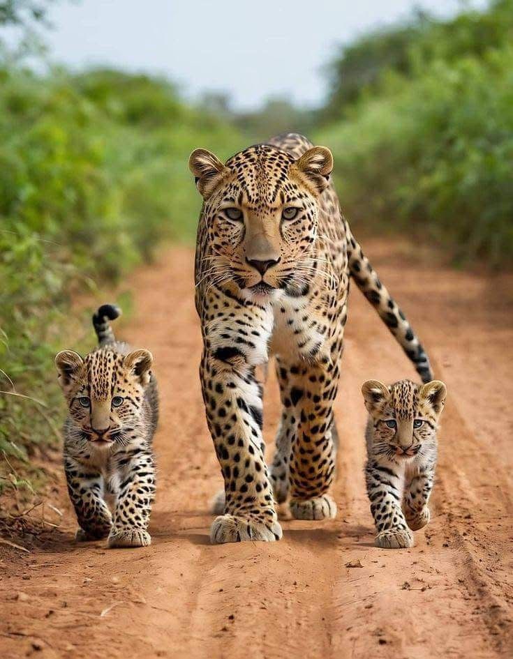 Good Morning.🌞🌄