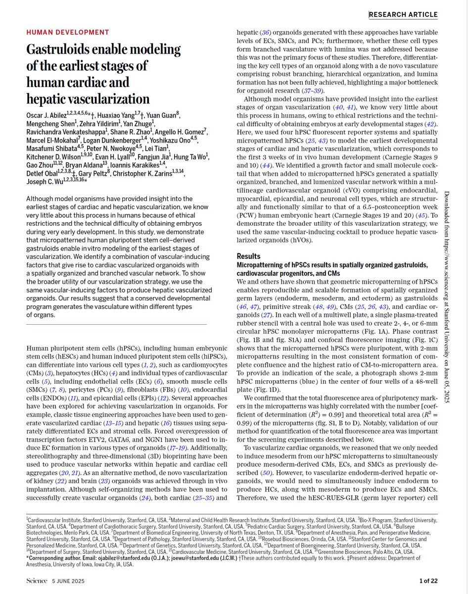 Joseph_C_Wu's tweet photo. We're pleased to see our work on vascularized cardiac &amp; liver organoids published in @ScienceMagazine. 
Congrats to @oscarabilez @firstage5 and co-authors.
@StanfordCVI @StanfordMed @StanfordDeptMed @Stanford_ChEMH @GreenstoneBio 
https://t.co/wJzfosB99S
https://t.co/OQu6mF2Lh7 https://t.co/BZ5KaKZ8ar