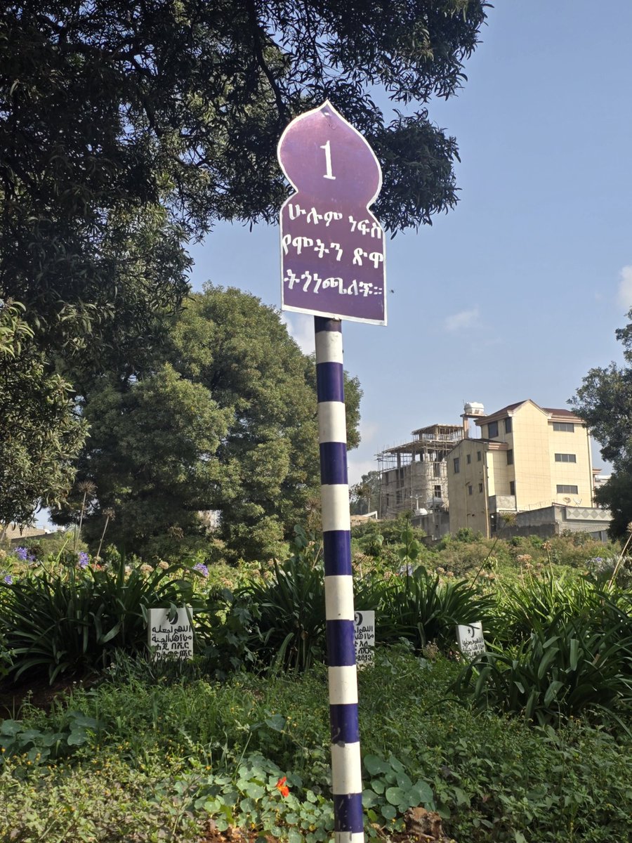 Semira | ሰሚራ tweet media