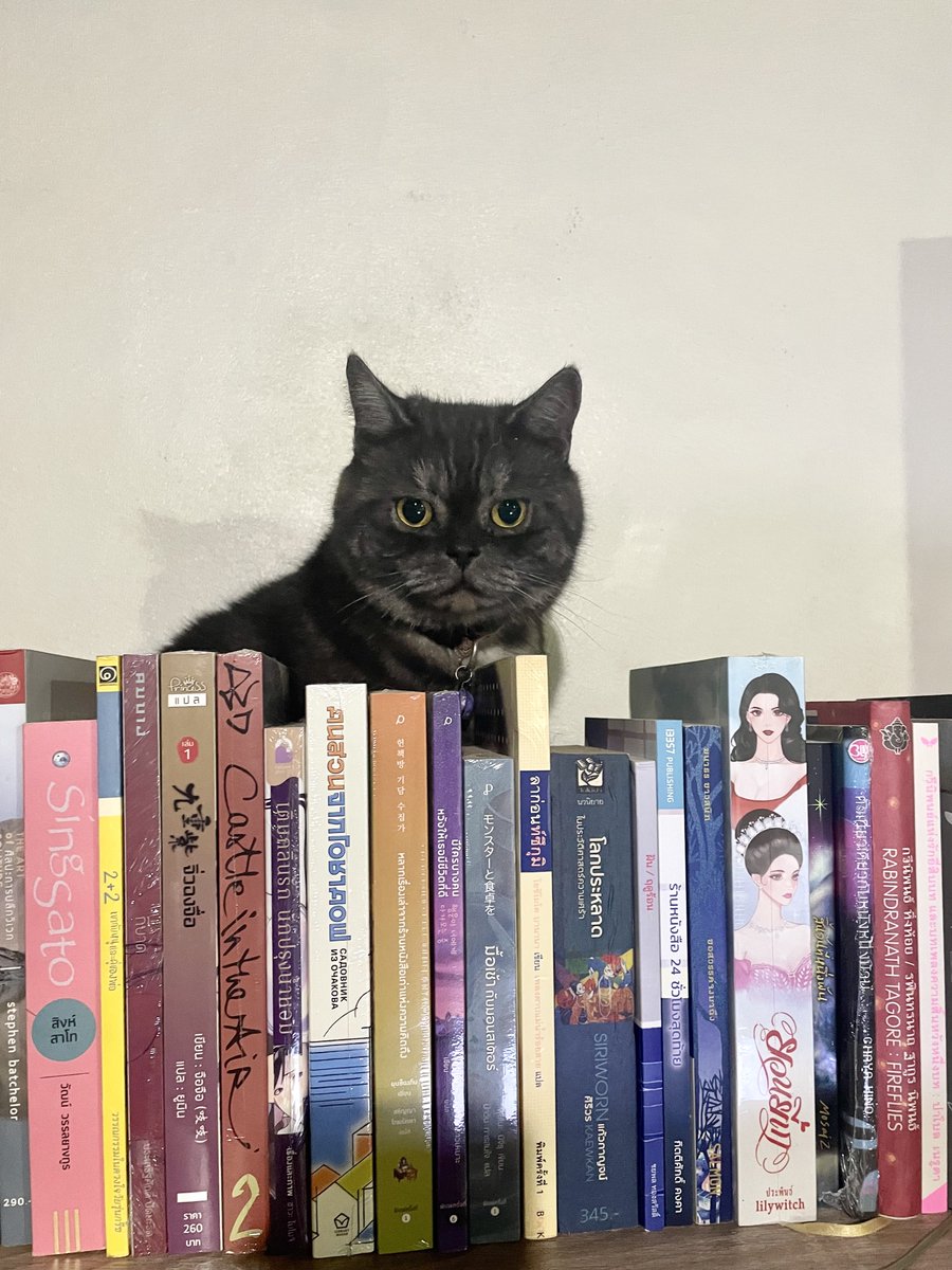 กลิ่นหนังสือ (@klinnangsue) on Twitter photo 