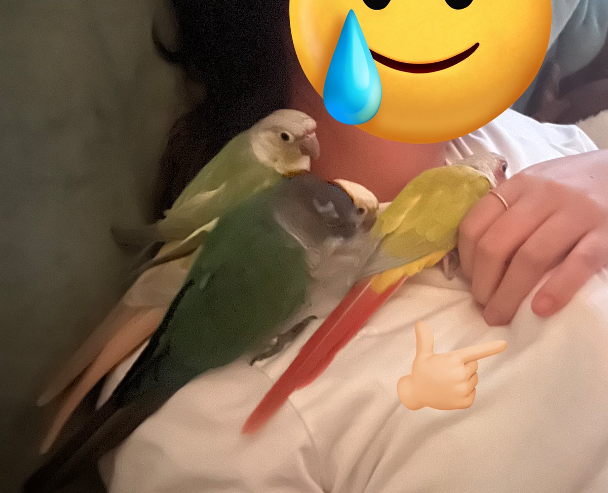 졸리면 사이 안좋은것도 까먹는거 같다
앵 다섯마리가 오랜만에 한 사진에(◍•ᴗ•◍)