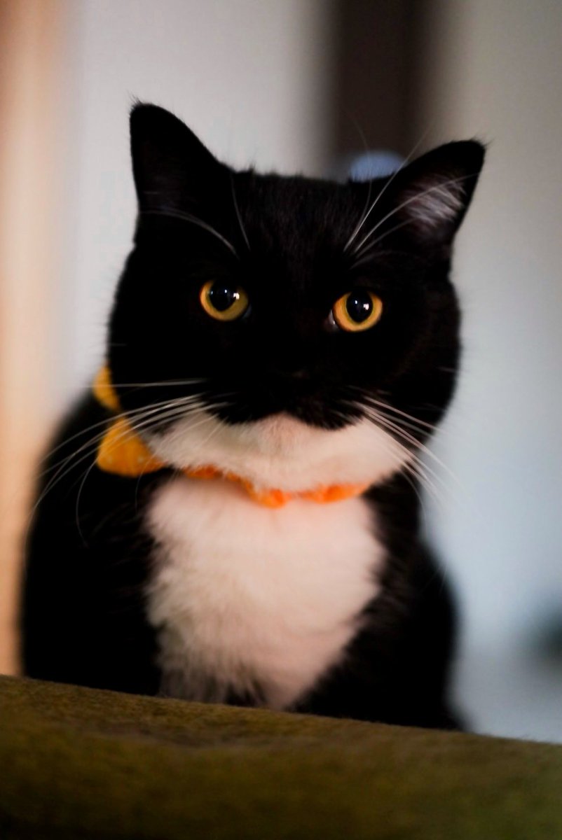 Too round to be serious