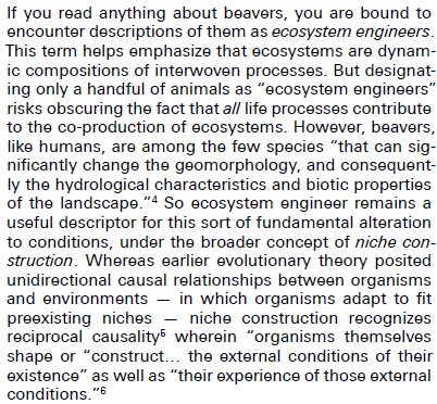 Beavers mirror our own species capacity for niche construction. Recognizing this helps us understand not only capitalism's destructive character but also the key to communism's conscious embrace of this ecological reciprocity.