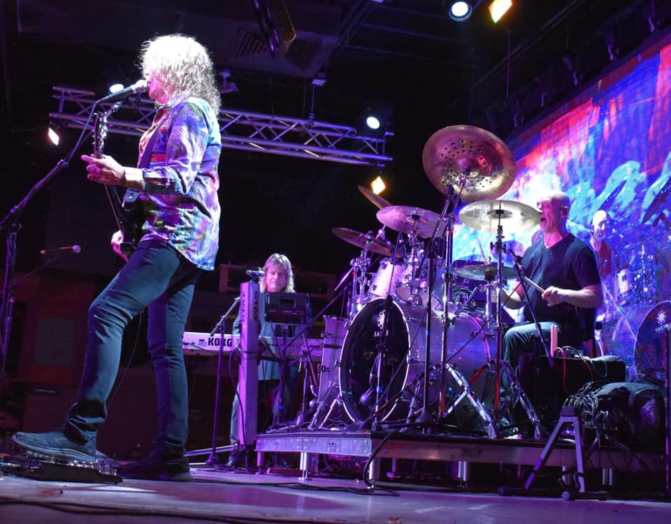 Zebra - Photos taken on Long Island, NY in 2022