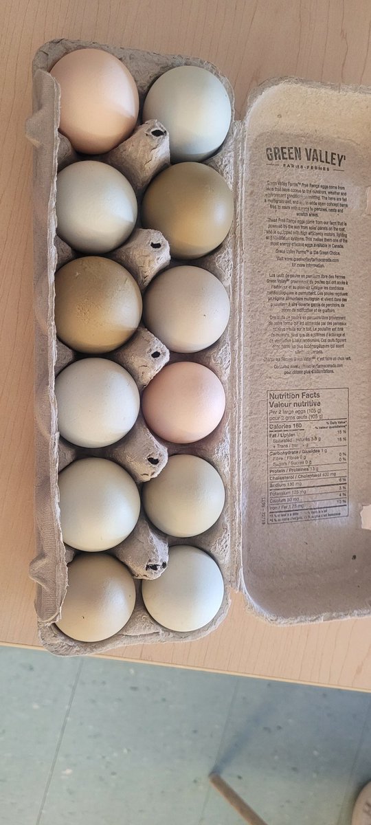Tell me you work in Caledon without telling me you work in Caledon! One of my students brought me hand-picked eggs from his farm 💕