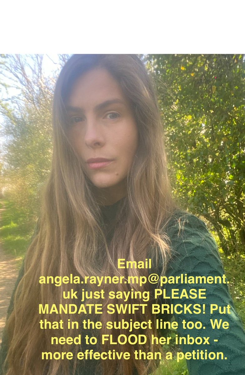 Hannah Bourne-Taylor (@writerhannahbt) on Twitter photo The swift brick amendment will be voted on next week. Please use your voice. Email angela.rayner.mp@parliament.uk just saying PLEASE MANDATE SWIFT BRICKS! The swift brick amendment will be voted on next week. Please use your voice. Email angela.rayner.mp@parliament.uk just saying PLEASE MANDATE SWIFT BRICKS!