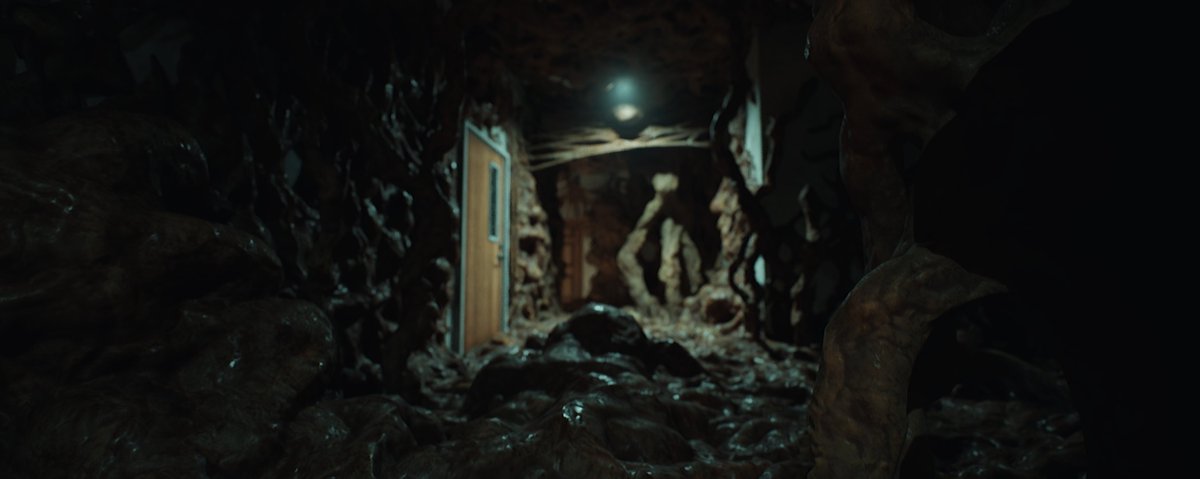 Fear The Timeloop tweet media