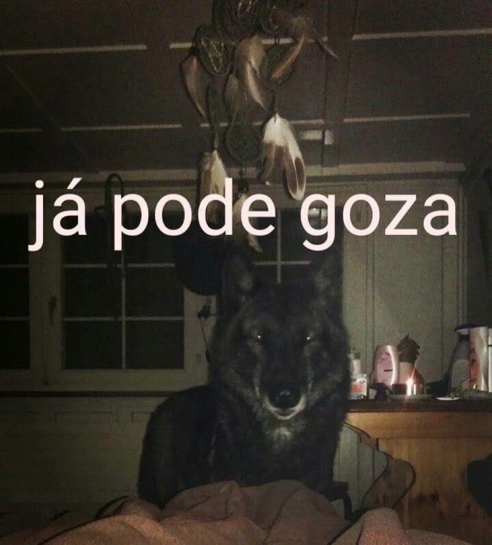 aaafod's tweet image. já posso sentir os efeitos colaterais de amanhã 
ALCOOLTEIA ALCOOLTEIA ALCOOLTEIA