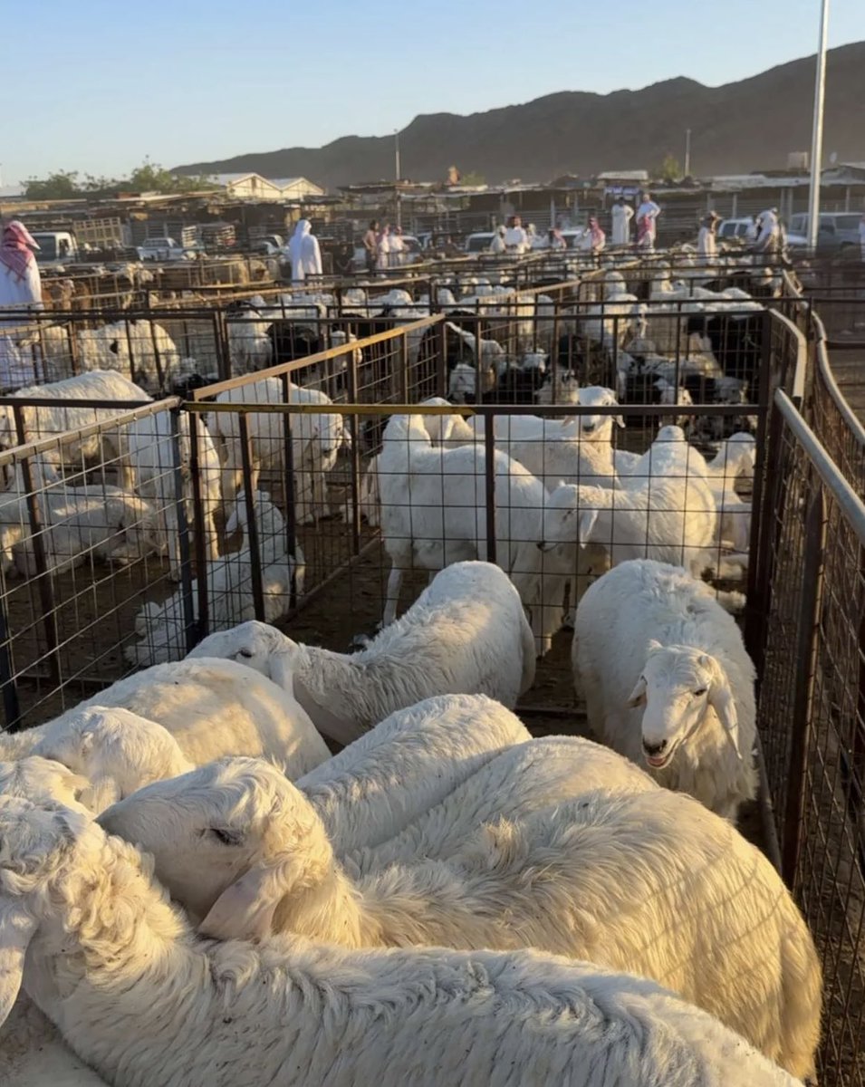 #مدفوع #العيد_مدفوع 
عيدكم مبارك