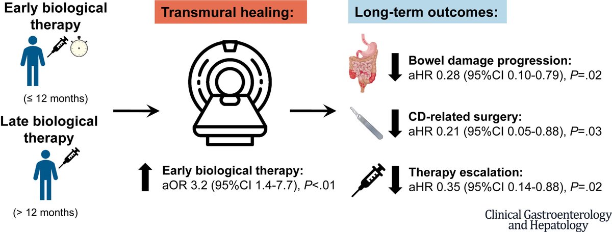 Early initiation of biological therapy within 12 months of diagnosis significantly increases transmural healing rates, leading to improved long-term outcomes in patients with #CD

➡️ Learn more: ow.ly/Wbm350W4mKn