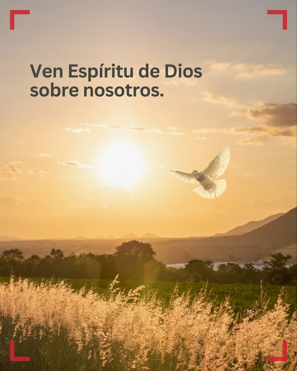 Ven Espíritu de Dios sobre nosotros.

Ven sobre este mundo herido de guerras y crispación.

Sopla tu aliento y libéranos de los miedos que levantan fronteras.

Ven Espíritu, danos tu paz para amar, perdonar y sanar las heridas.