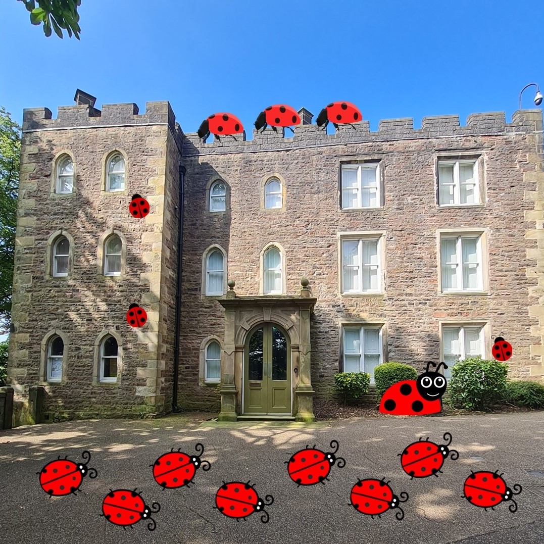 🐞Head to #ClitheroeCastle museum this weekend and join the hunt for ladybirds hiding in the galleries. Find them all to be in with a chance of winning a fabulous bag of goodies. Daily drop in event from 11am to 4pm. Find out more tiny.cc/EventsAtClithe… #Ribblevalley #Lancashire